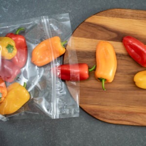 Plain Handle Bags