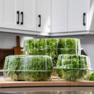 Lettuce